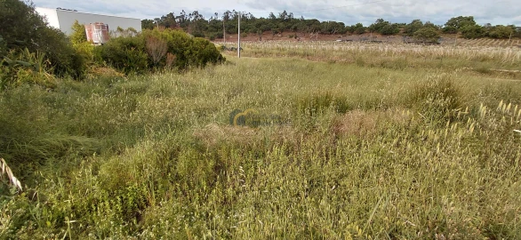 Terreno Agricola ou Rústico para Venda em São Bartolomeu de Messines