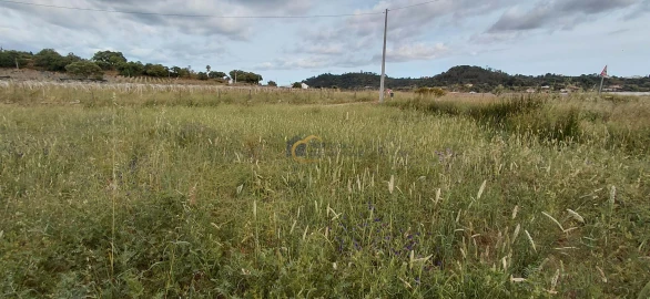 Terreno Agricola ou Rústico para Venda em São Bartolomeu de Messines