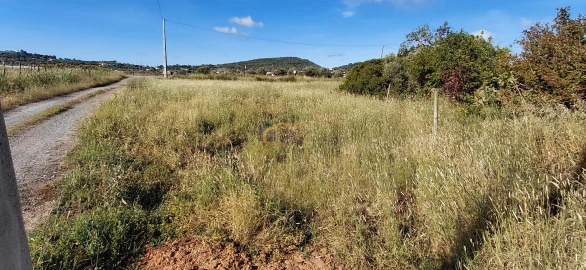 Terreno Agricola ou Rústico para Venda em São Bartolomeu de Messines