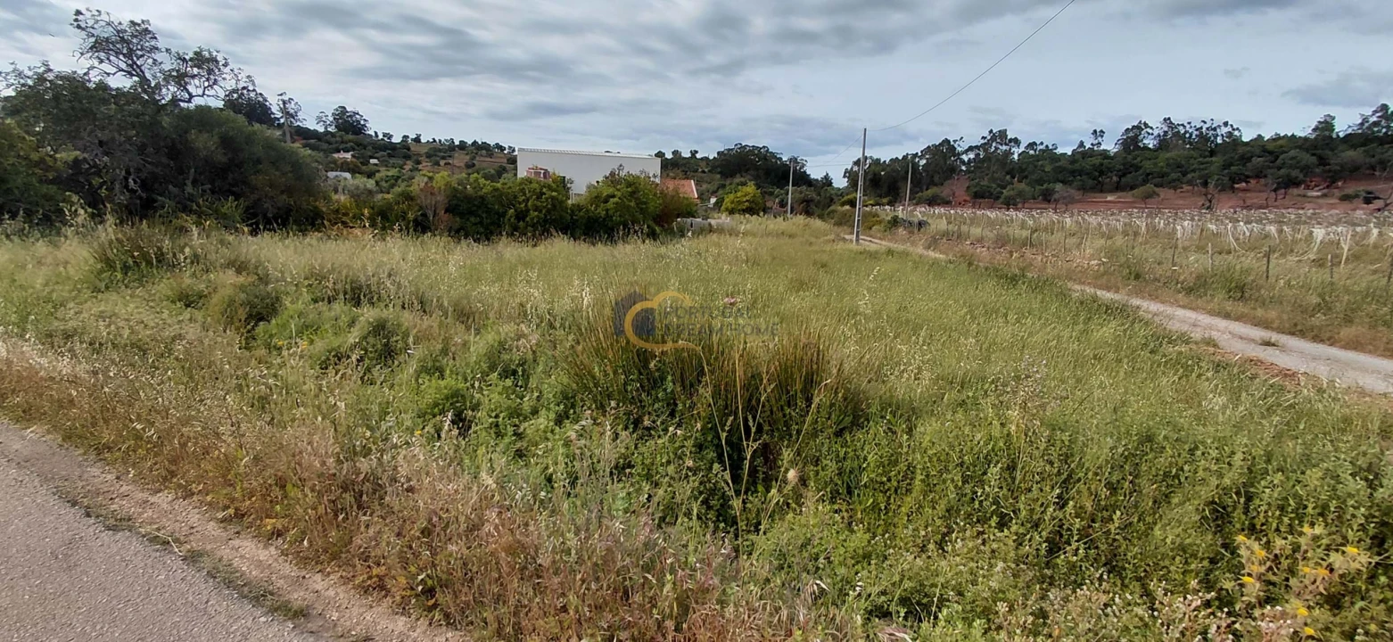 Terreno Agricola ou Rústico para Venda em São Bartolomeu de Messines Foto 12