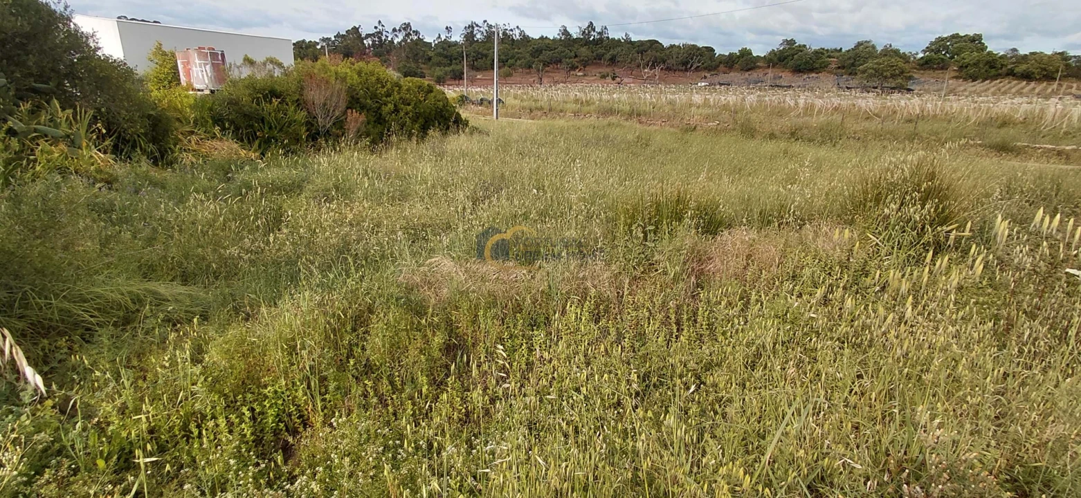 Terreno Agricola ou Rústico para Venda em São Bartolomeu de Messines Foto 15