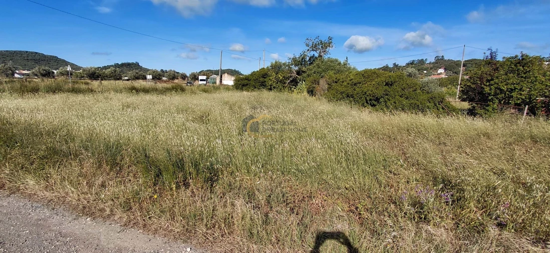 Terreno Agricola ou Rústico para Venda em São Bartolomeu de Messines Foto 6
