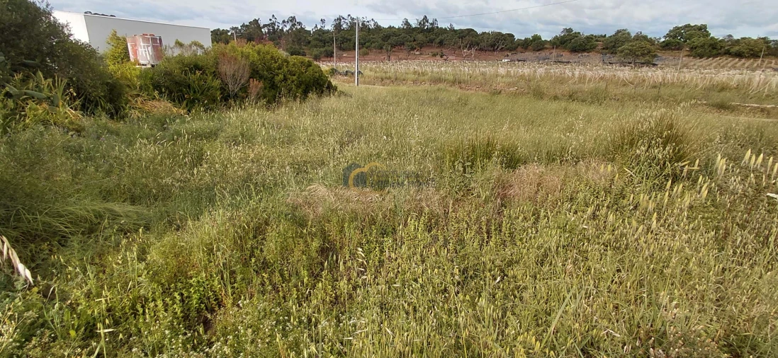 Terreno Agricola ou Rústico para Venda em São Bartolomeu de Messines Foto 15