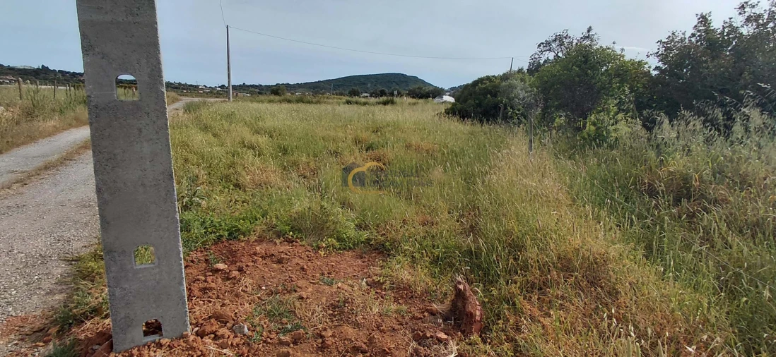 Terreno Agricola ou Rústico para Venda em São Bartolomeu de Messines Foto 7