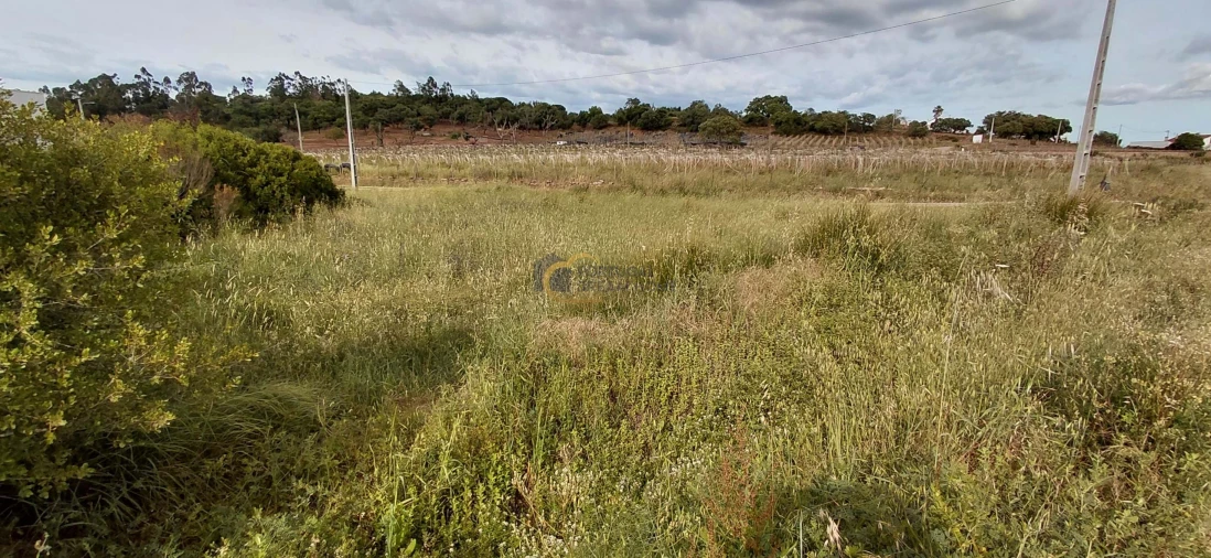 Terreno Agricola ou Rústico para Venda em São Bartolomeu de Messines Foto 14