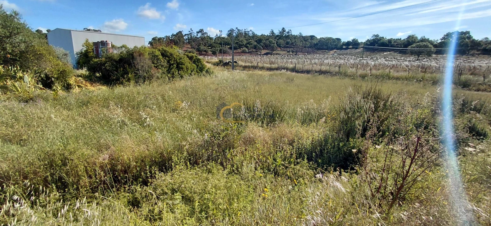 Terreno Agricola ou Rústico para Venda em São Bartolomeu de Messines Foto 2