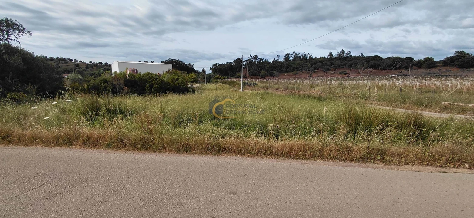 Terreno Agricola ou Rústico para Venda em São Bartolomeu de Messines Foto 13