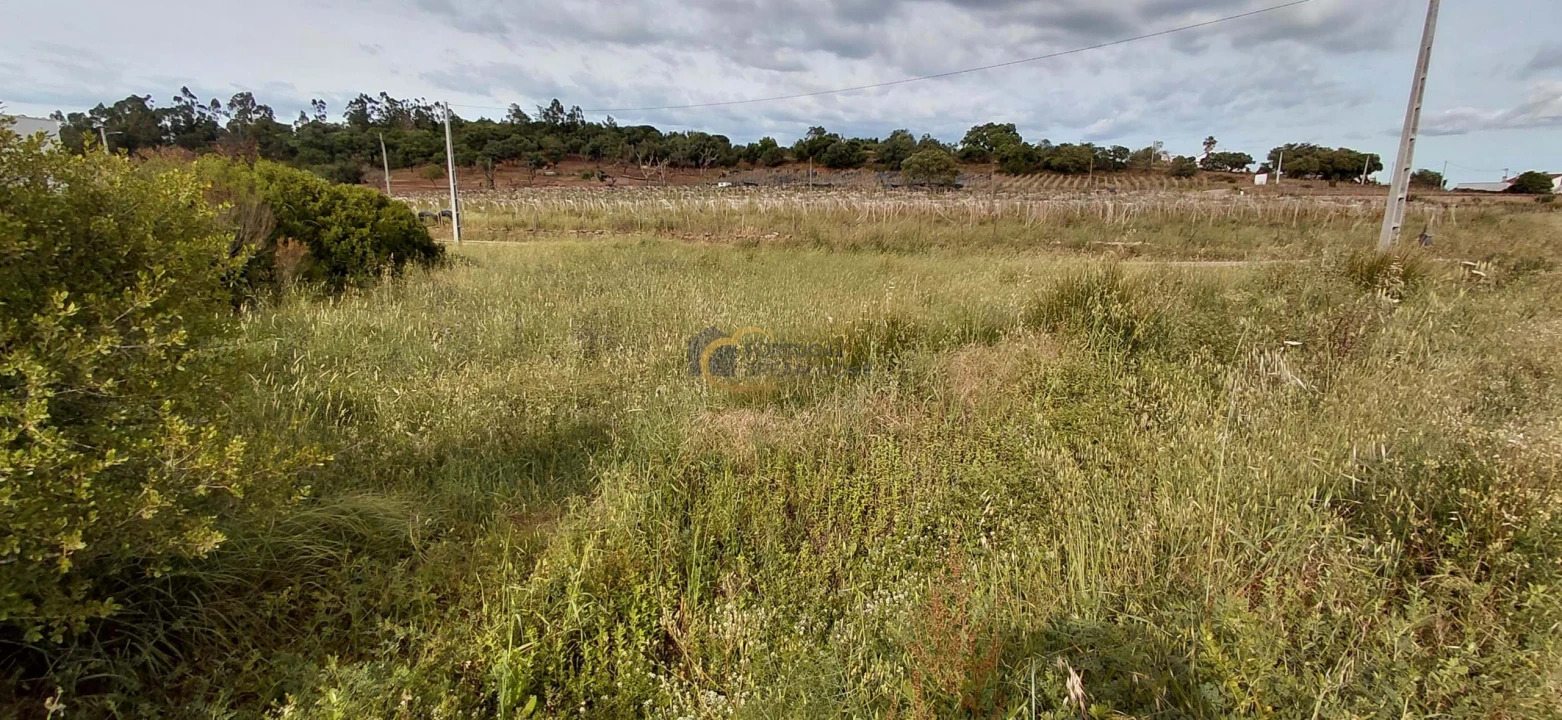 Terreno Agricola ou Rústico para Venda em São Bartolomeu de Messines Foto 14