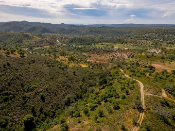 Terreno para Venda em Salir
