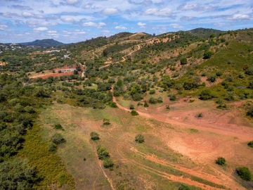 Terreno para Venda em Salir