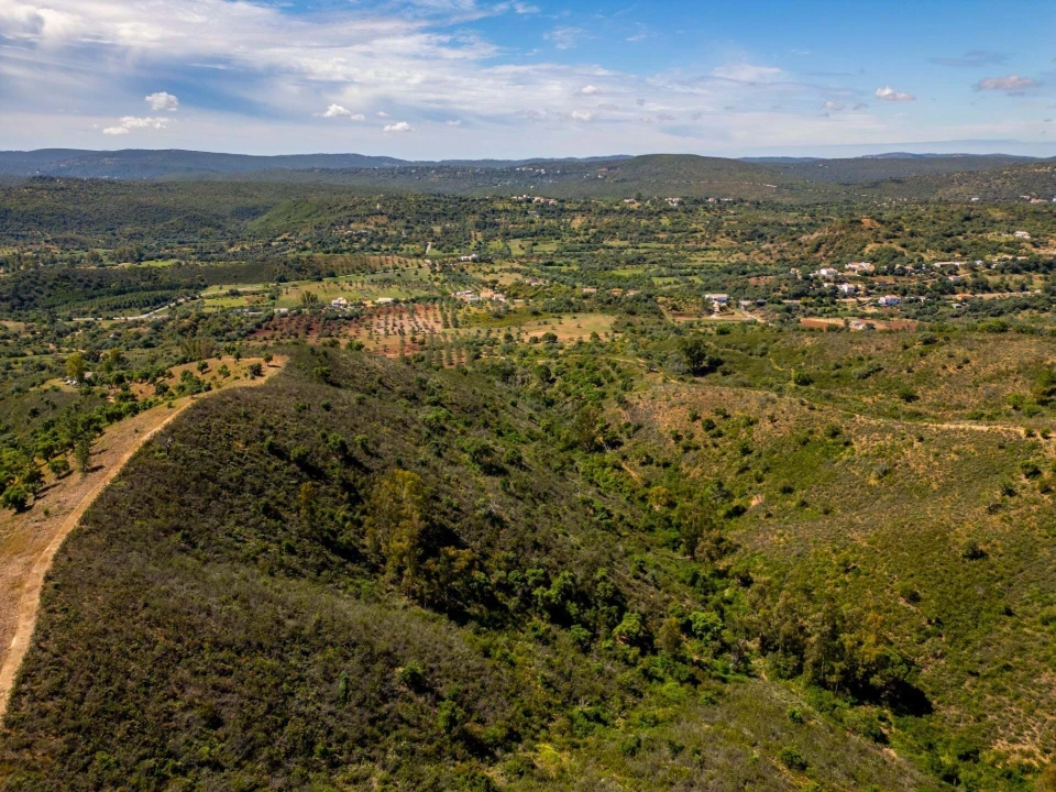 Terreno para Venda em Salir Foto 13