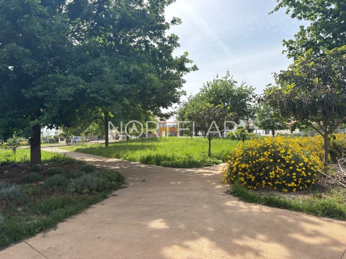 Terreno para Venda em Ribeirão Foto 6
