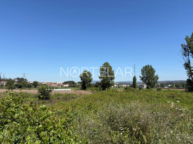 Terreno para Venda em Ribeirão Foto 4