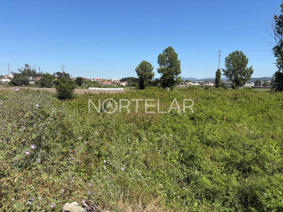 Terreno para Venda em Ribeirão Foto 3