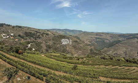 Quinta T5 para Venda em Tabuaço