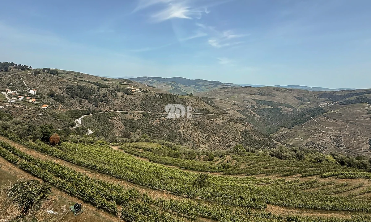 Quinta T5 para Venda em Tabuaço Foto 9
