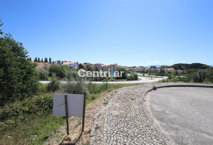 Terreno para Venda em Mangualde, Mesquitela e Cunha Alta Foto 3