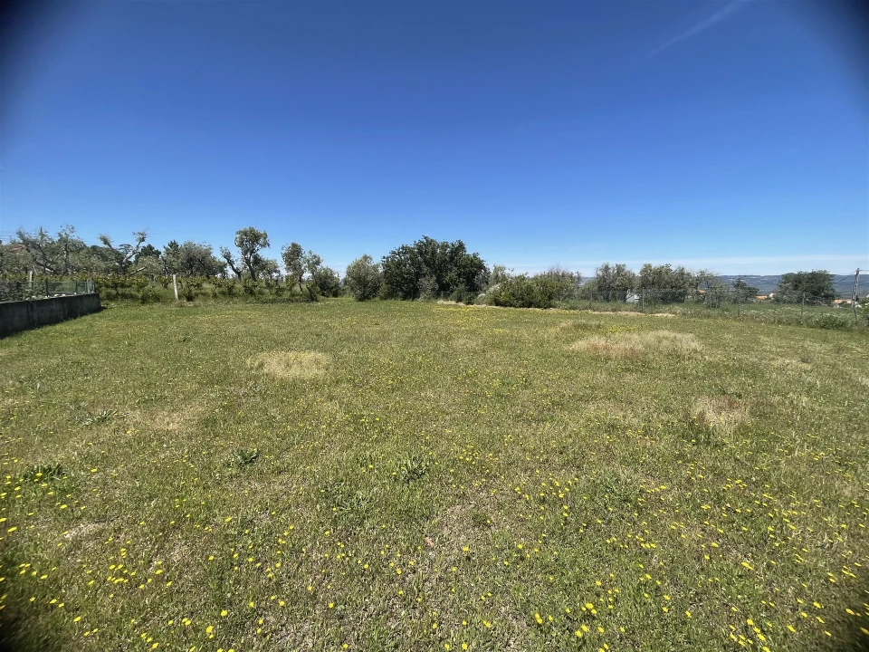Terreno para Venda em Melo e Nabais Foto 5