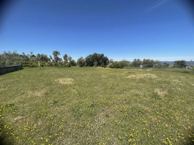 Terreno para Venda em Melo e Nabais Foto 5