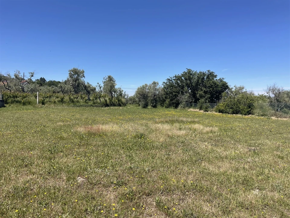 Terreno para Venda em Melo e Nabais Foto 2
