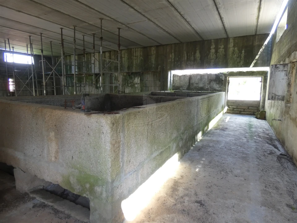 Quinta T0 para Venda em Geraz do Lima (Santa Maria, Santa Leocádia, Moreira), Deão Foto 144