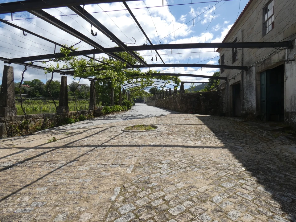 Quinta T0 para Venda em Geraz do Lima (Santa Maria, Santa Leocádia, Moreira), Deão Foto 133