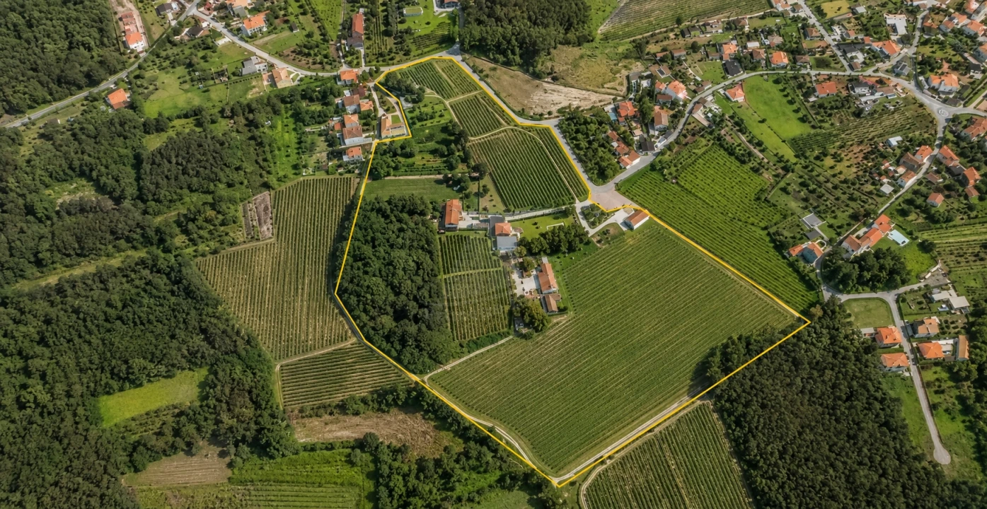 Quinta T14 para Venda em Geraz do Lima (Santa Maria, Santa Leocádia, Moreira), Deão Foto 220