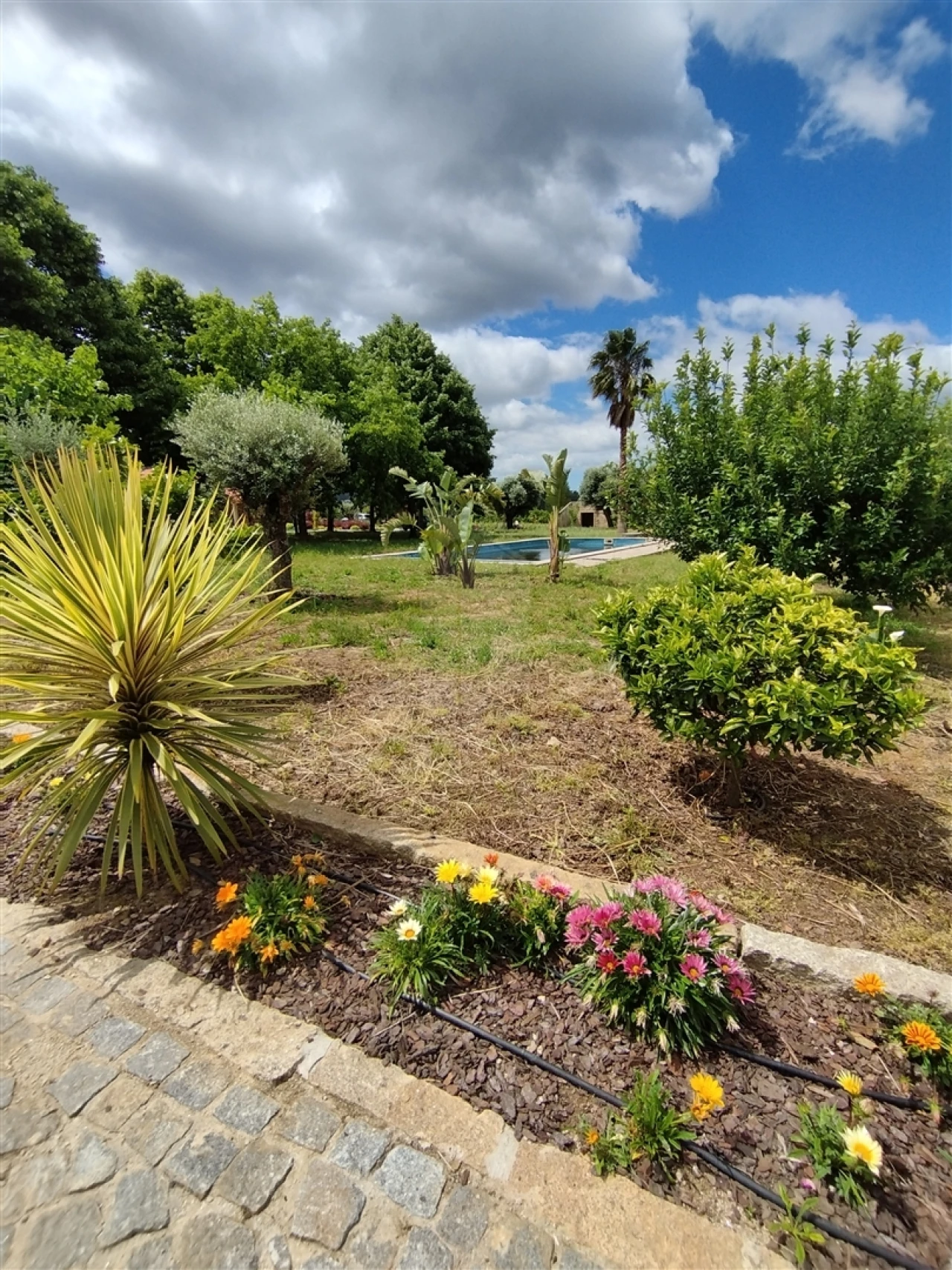 Quinta T0 para Venda em Geraz do Lima (Santa Maria, Santa Leocádia, Moreira), Deão Foto 84