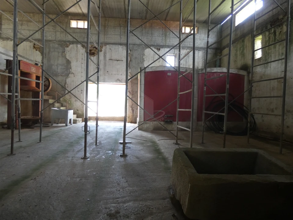 Quinta T0 para Venda em Geraz do Lima (Santa Maria, Santa Leocádia, Moreira), Deão Foto 148