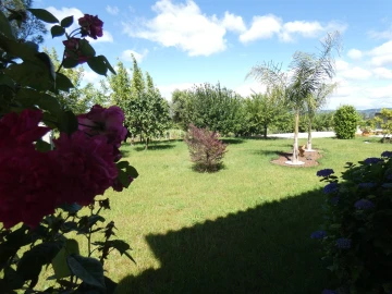 Quinta T0 para Venda em Geraz do Lima (Santa Maria, Santa Leocádia, Moreira), Deão