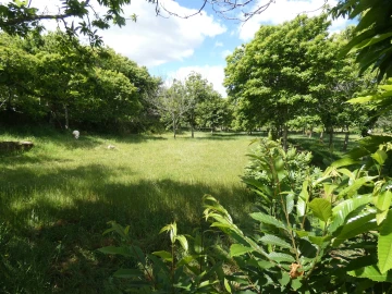Quinta T0 para Venda em Geraz do Lima (Santa Maria, Santa Leocádia, Moreira), Deão