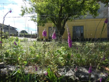 Quinta T0 para Venda em Geraz do Lima (Santa Maria, Santa Leocádia, Moreira), Deão