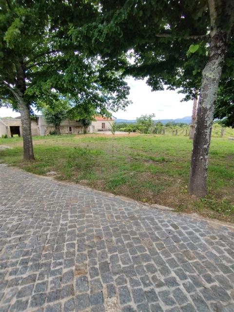 Quinta T0 para Venda em Geraz do Lima (Santa Maria, Santa Leocádia, Moreira), Deão