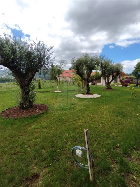 Quinta T0 para Venda em Geraz do Lima (Santa Maria, Santa Leocádia, Moreira), Deão
