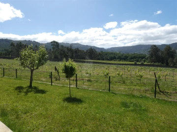 Quinta T0 para Venda em Geraz do Lima (Santa Maria, Santa Leocádia, Moreira), Deão