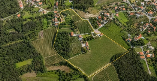Quinta T0 para Venda em Geraz do Lima (Santa Maria, Santa Leocádia, Moreira), Deão
