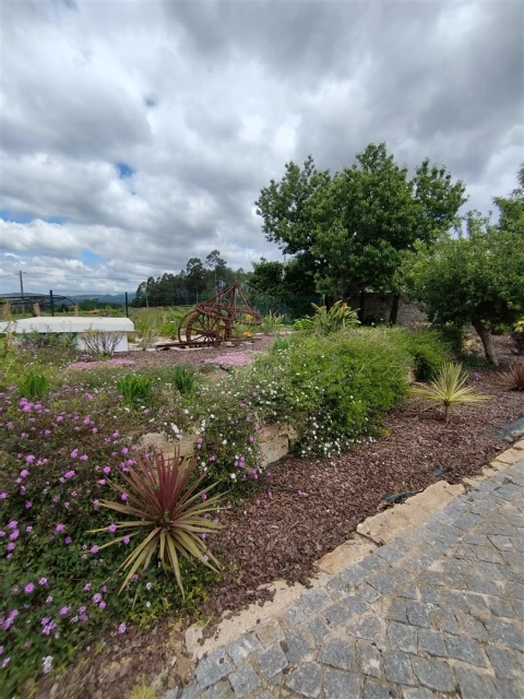 Quinta T0 para Venda em Geraz do Lima (Santa Maria, Santa Leocádia, Moreira), Deão