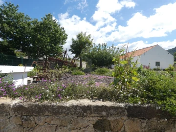 Quinta T0 para Venda em Geraz do Lima (Santa Maria, Santa Leocádia, Moreira), Deão