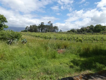 Quinta T0 para Venda em Geraz do Lima (Santa Maria, Santa Leocádia, Moreira), Deão