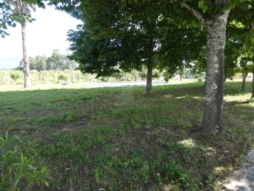 Quinta T0 para Venda em Geraz do Lima (Santa Maria, Santa Leocádia, Moreira), Deão