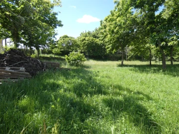Quinta T0 para Venda em Geraz do Lima (Santa Maria, Santa Leocádia, Moreira), Deão