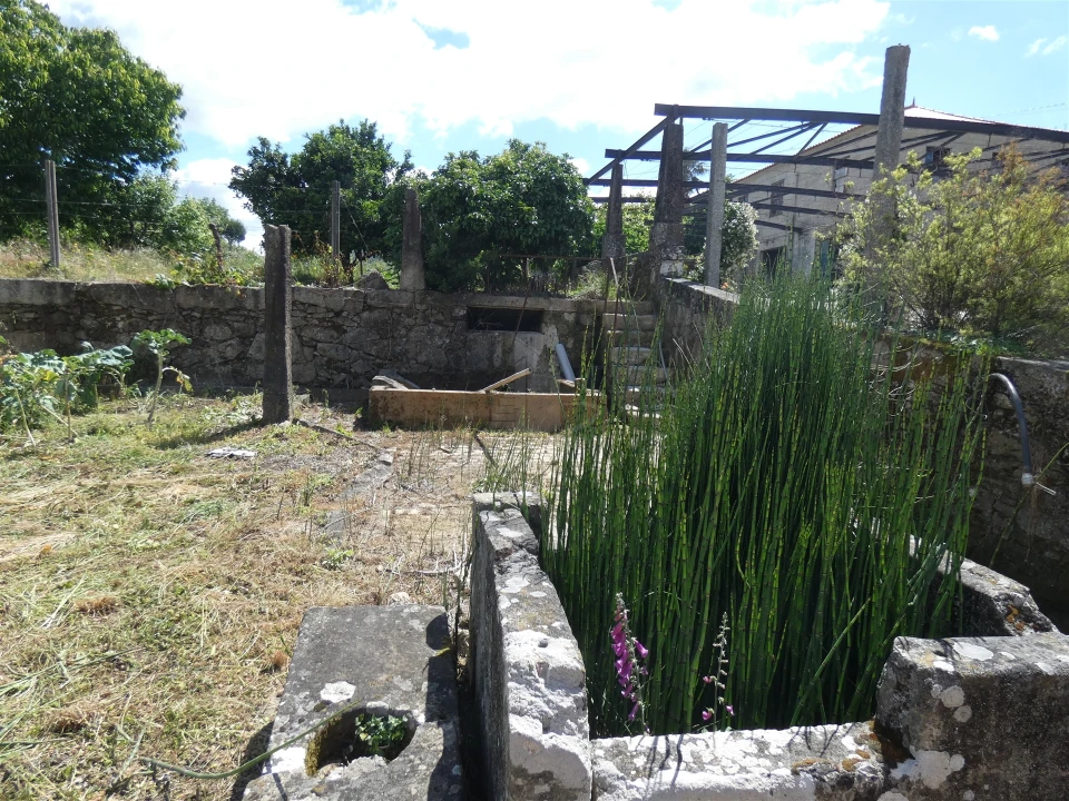 Quinta T0 para Venda em Geraz do Lima (Santa Maria, Santa Leocádia, Moreira), Deão Foto 208