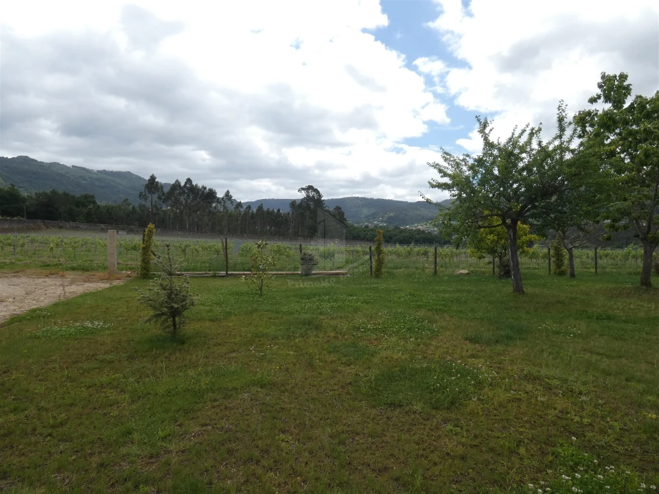 Quinta T0 para Venda em Geraz do Lima (Santa Maria, Santa Leocádia, Moreira), Deão Foto 218