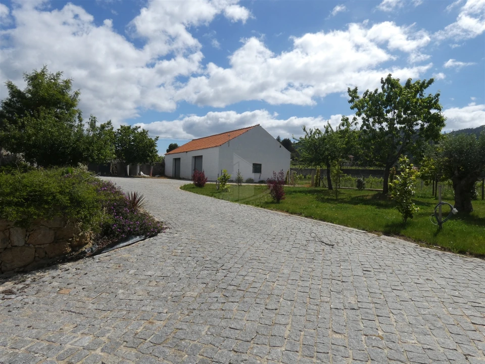 Quinta T0 para Venda em Geraz do Lima (Santa Maria, Santa Leocádia, Moreira), Deão Foto 186