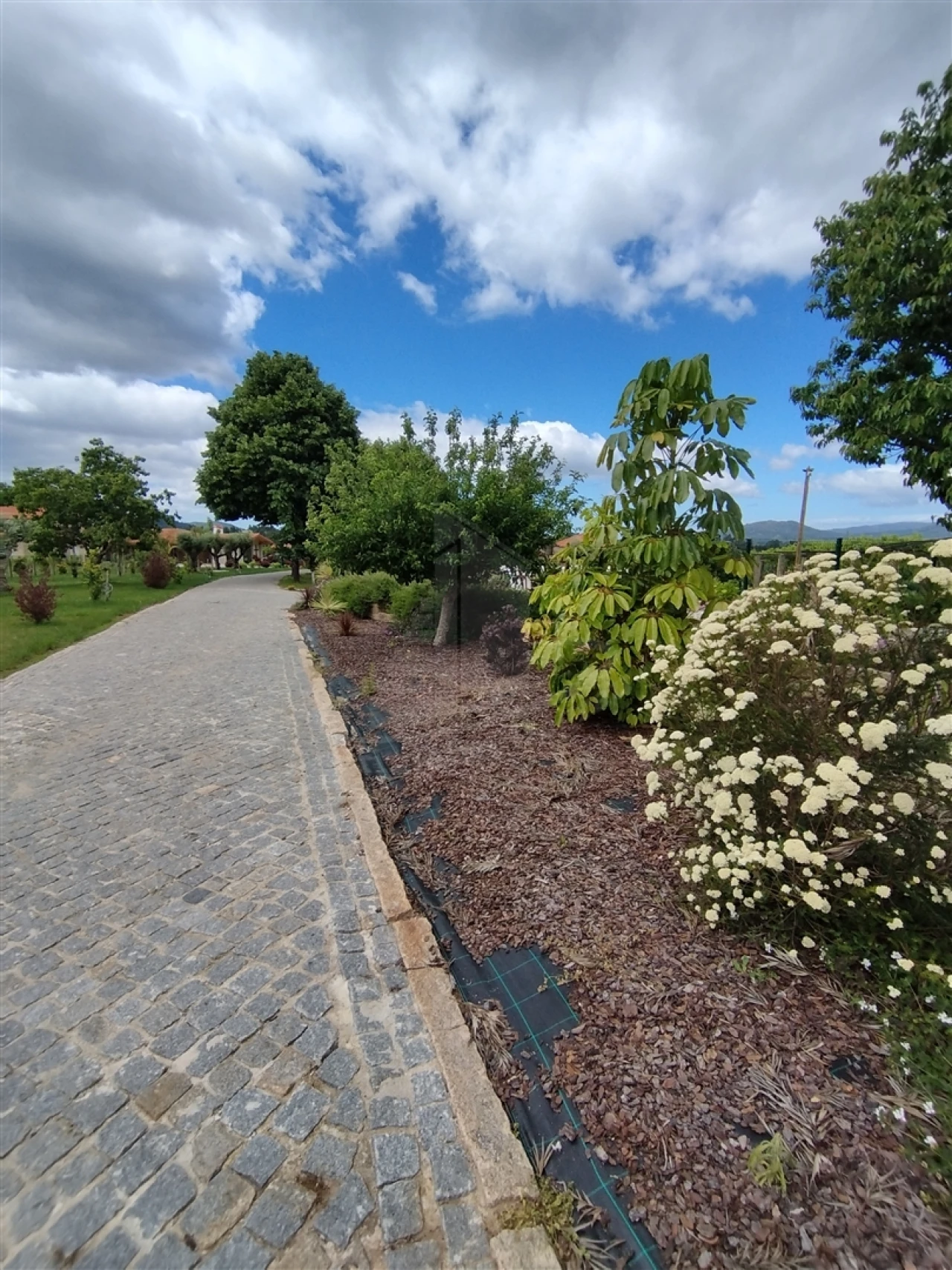 Quinta T0 para Venda em Geraz do Lima (Santa Maria, Santa Leocádia, Moreira), Deão Foto 77