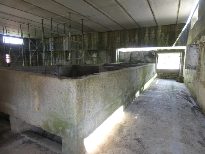 Quinta T0 para Venda em Geraz do Lima (Santa Maria, Santa Leocádia, Moreira), Deão Foto 144