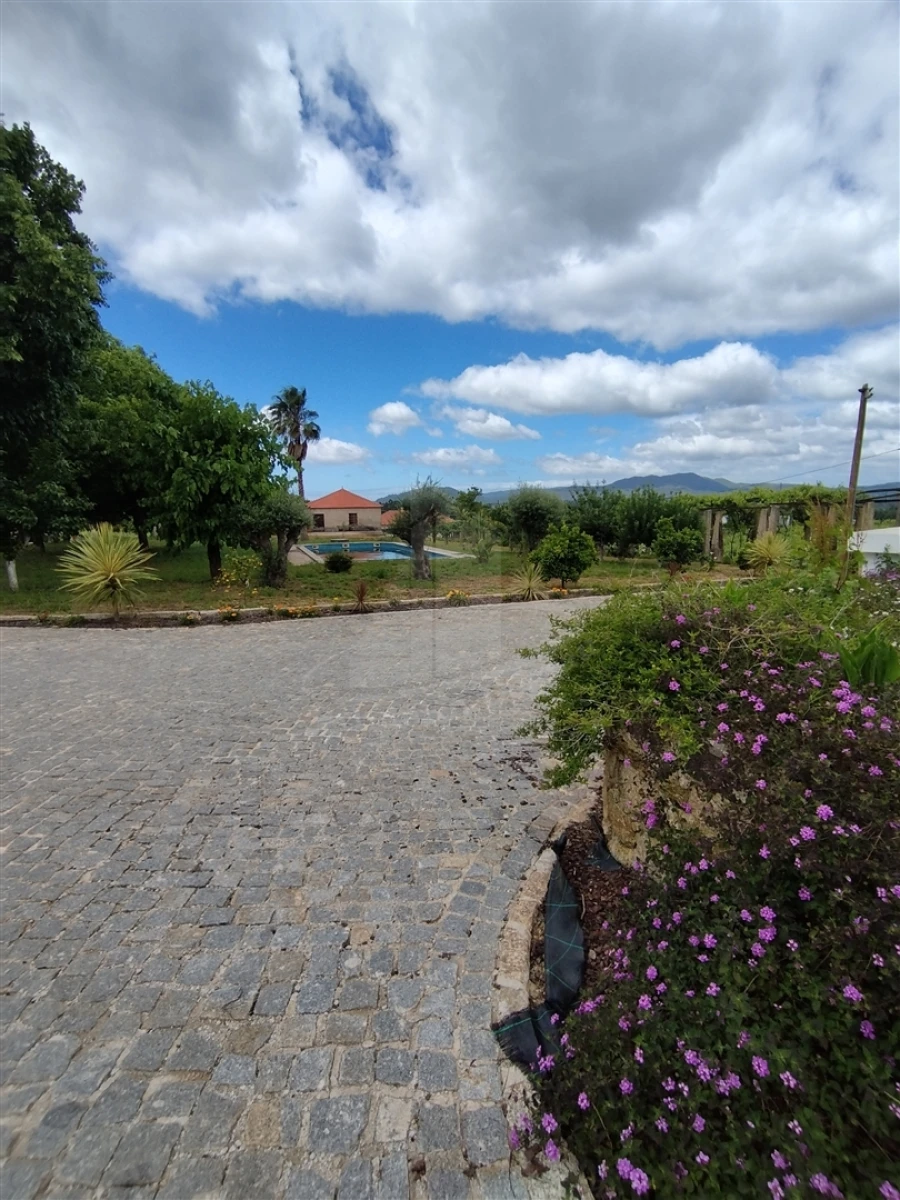 Quinta T0 para Venda em Geraz do Lima (Santa Maria, Santa Leocádia, Moreira), Deão Foto 74