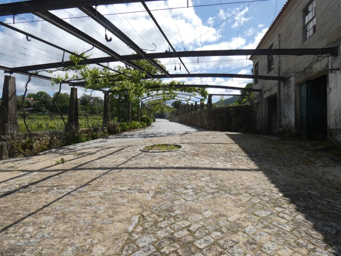 Quinta T0 para Venda em Geraz do Lima (Santa Maria, Santa Leocádia, Moreira), Deão Foto 133