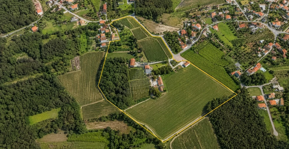 Quinta T14 para Venda em Geraz do Lima (Santa Maria, Santa Leocádia, Moreira), Deão Foto 220