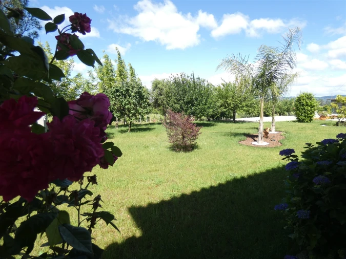 Quinta T0 para Venda em Geraz do Lima (Santa Maria, Santa Leocádia, Moreira), Deão Foto 173